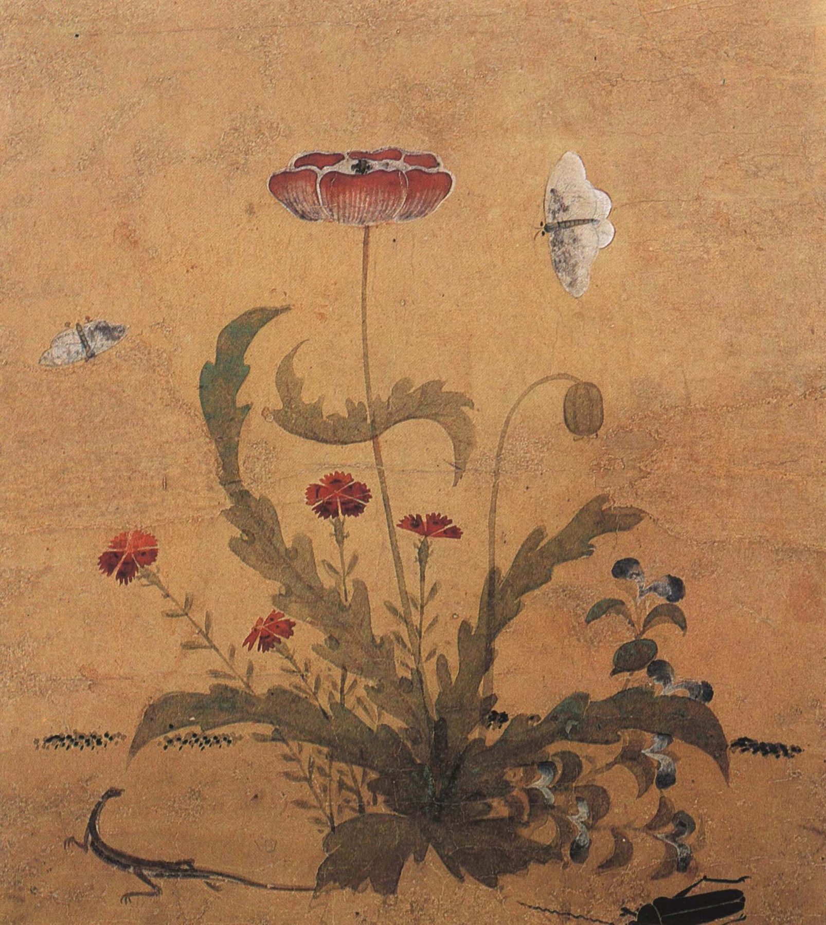 Grass and Insects